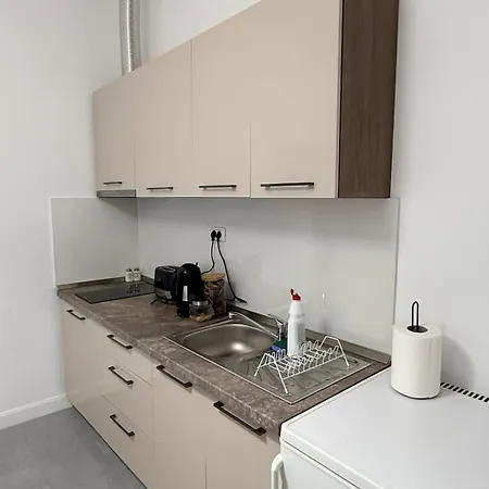 Apartament Cozy, Centrally Located In The Heart Of Timişoara